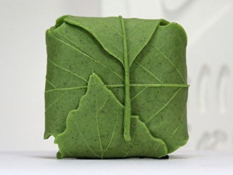 Smello's Cuboid with Leaves Silicone Soap Moulds (SC 131)