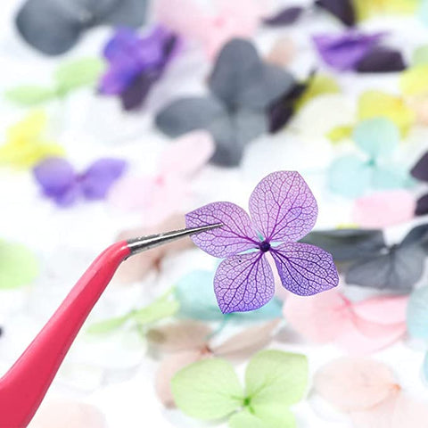 Smello's Natural Dried Pressed Flowers - Mixed, Multiple Colourful Pressed Flowers for Candle, Crafts Making, Dried Flowers for Resin Art, Floral Decors (BO 107)