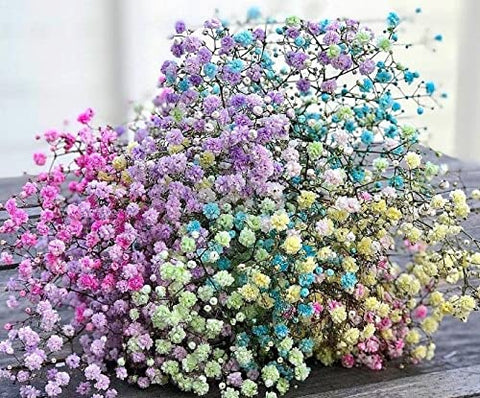 Smello's Natural Dried Pressed Flowers - Mixed, Multiple Colourful Pressed Flowers for Candle, Crafts Making, Dried Flowers for Resin Art, Floral Decors (BO 107)
