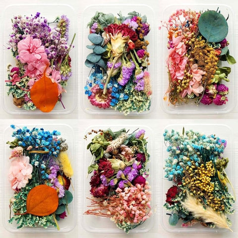 Smello's Natural Dried Pressed Flowers - Mixed, Multiple Colourful Pressed Flowers for Candle, Crafts Making, Dried Flowers for Resin Art, Floral Decors (BO 107)