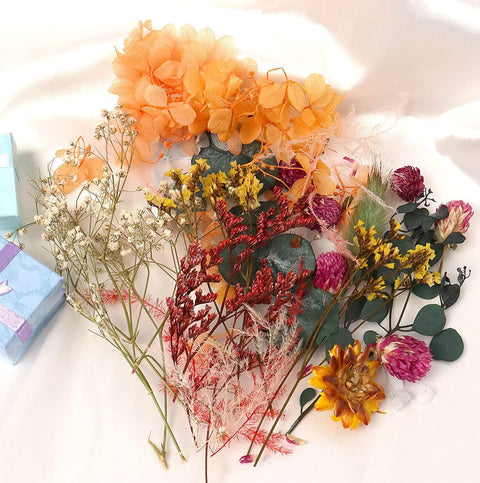Smello's Natural Dried Pressed Flowers - Mixed, Multiple Colourful Pressed Flowers for Candle, Crafts Making, Dried Flowers for Resin Art, Floral Decors (BO 107)